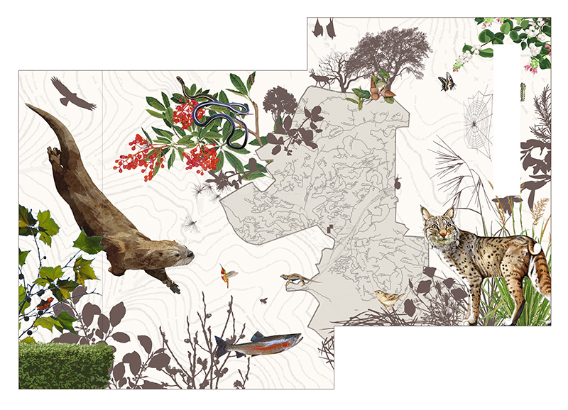 Artist's Rendering - Friends of the Orinda Library Mural Project by Jane Kim, Ind Dwell Studio