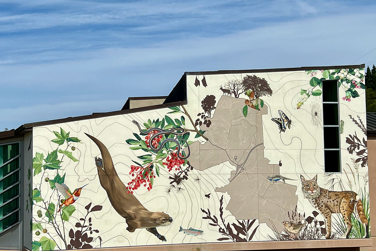 City in Nature Jane Kim/Ink Dwell studio The beautiful mural depicting the unique ecosystem of Orinda was commissioned by The Friends of the Orinda Library and dedicated on July 4, 2022.